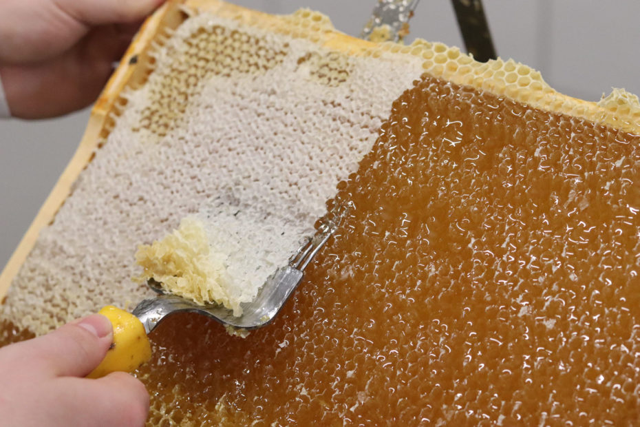 Honigmanufaktur Abenstal